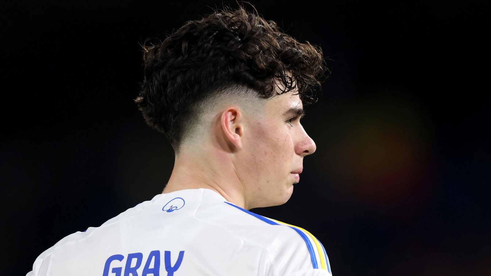 Phil Hay praises Archie Gray’s younger brother Harry, youngster has ...