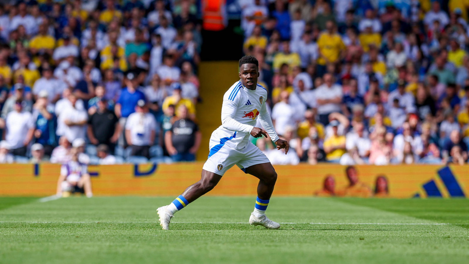 Italian clubs continue to show interest in Wilfried Gnonto