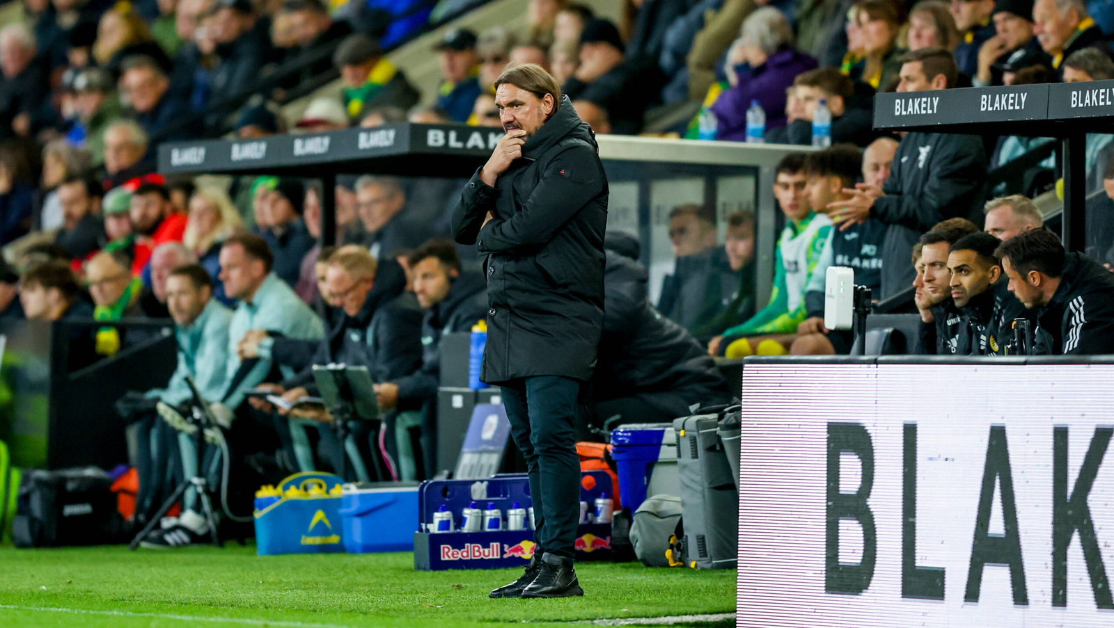 Daniel Farke against Norwich City
