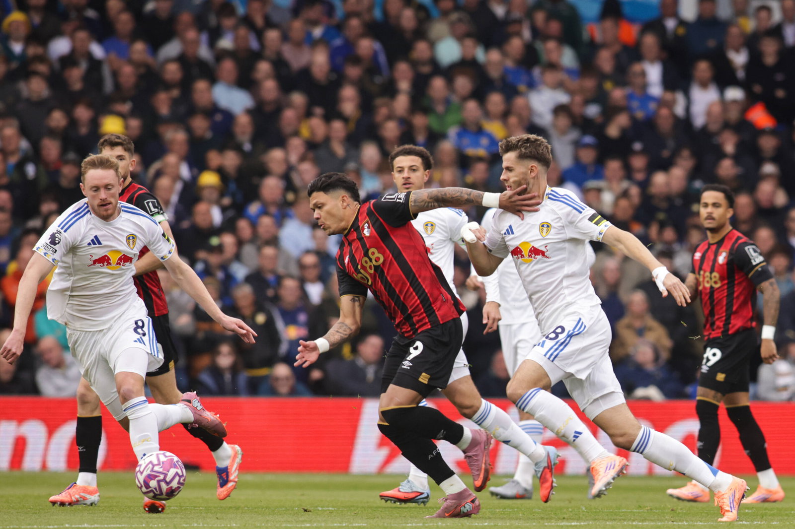Anton Stach interview: Midfielder confident in team’s strength