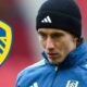 Harry Wilson