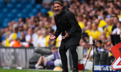 Daniel Farke