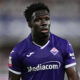 Wilfried Gnonto