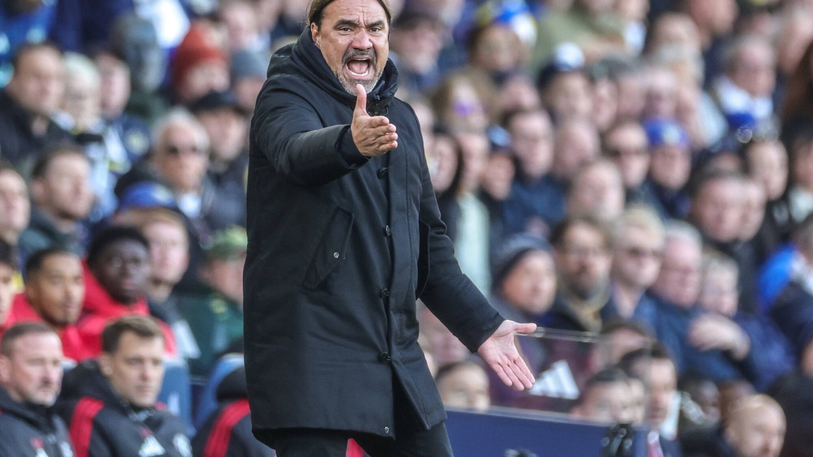 49ers must be fuming as Farke’s cynicism threatens to sabotage Leeds’ ambition